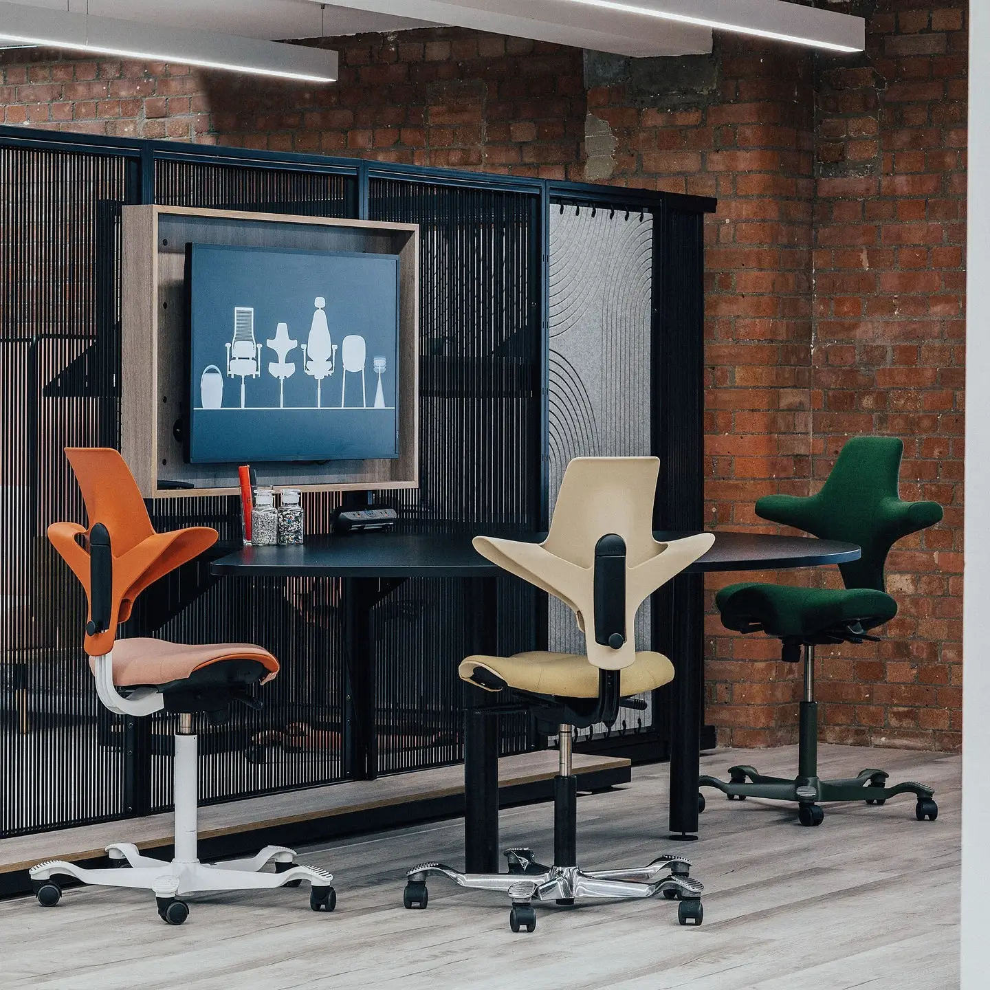 Capisco und Capisco Puls