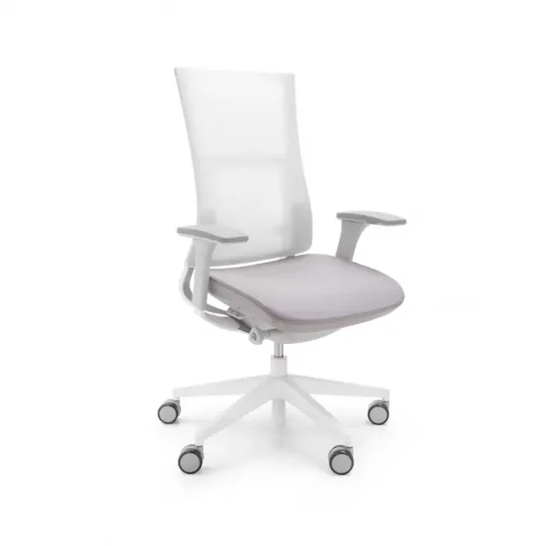 Violle Ergonomischer Stuhl