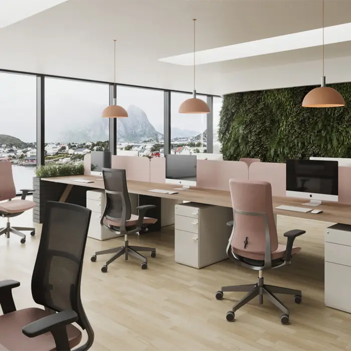 Violle Ergonomische Stuhl