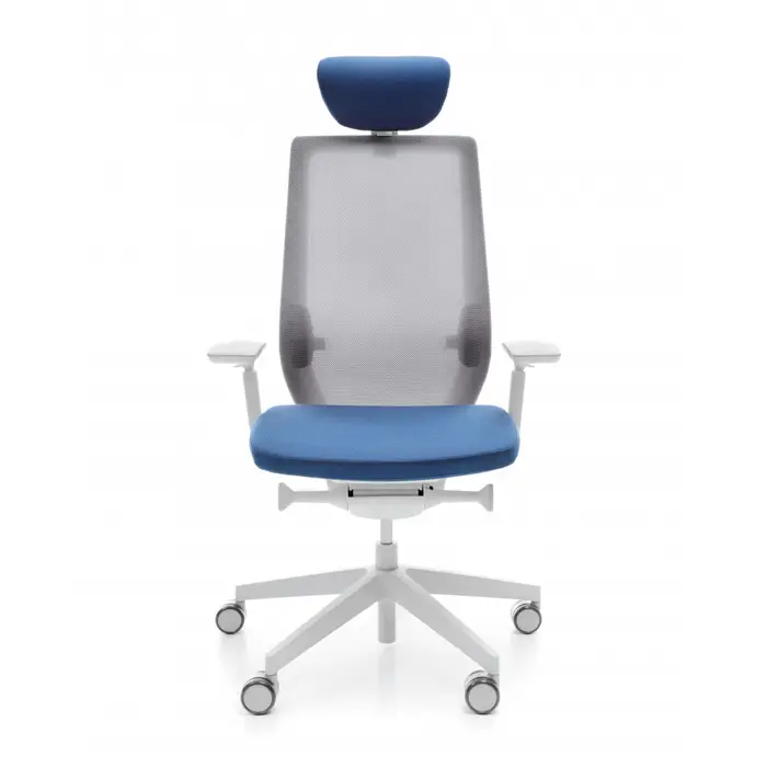 AccisPro Ergonomischer Stuhl