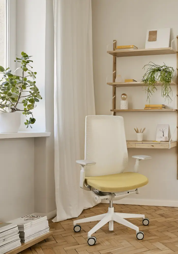 AccisPro Ergonomischer Stuhl